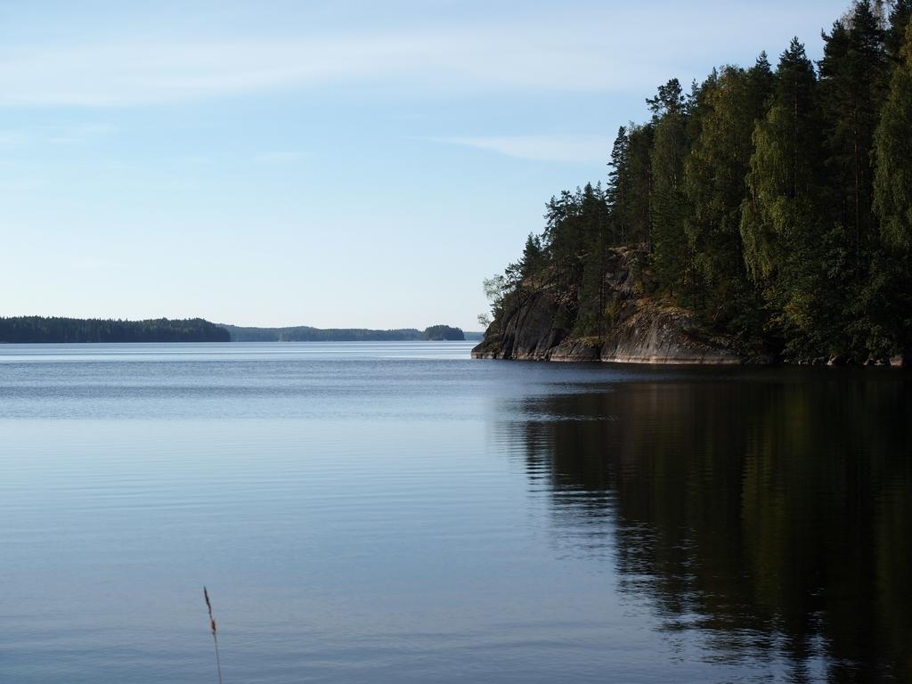 Kuoreksenniemi Villas & Lakehouse Puumala Exterior photo